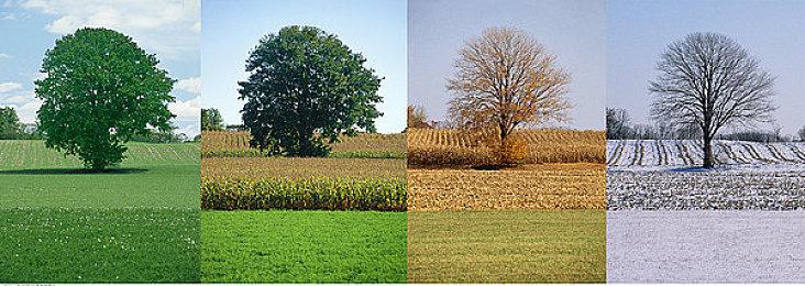 前《龙腾世纪》主创工作室Yellow Brick Games首款游戏曝先导预告