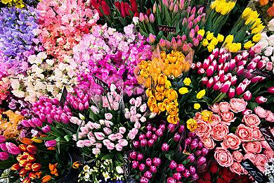 弹幕射击动作类肉鸽游戏《吸血鬼猎人》现已推出1.0正式版 获特别好评